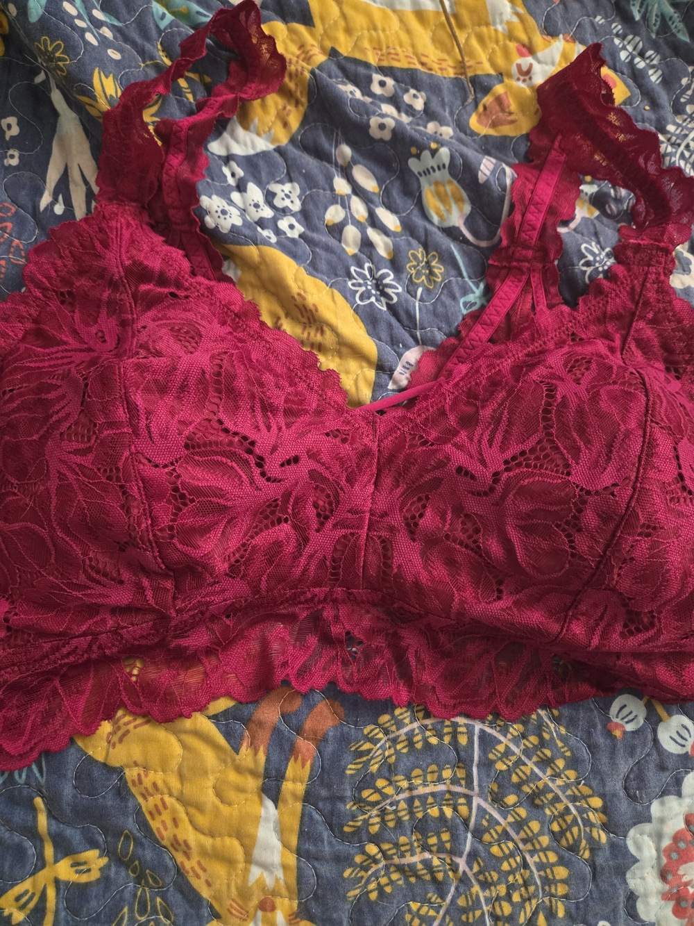 NWT Maurices Lightly Padded Burgundy Lace Bralette